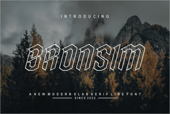 Bronsim: A Font That Adds Elegance to Every Design