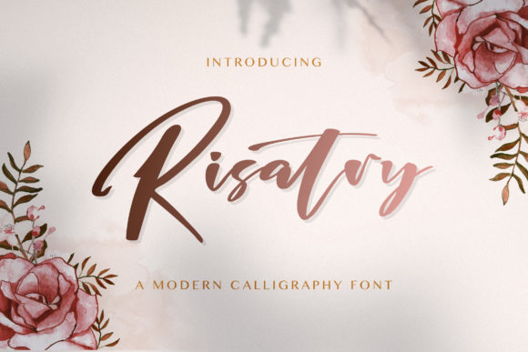 Font That Elevates Your Brand: Risatry for Small Business